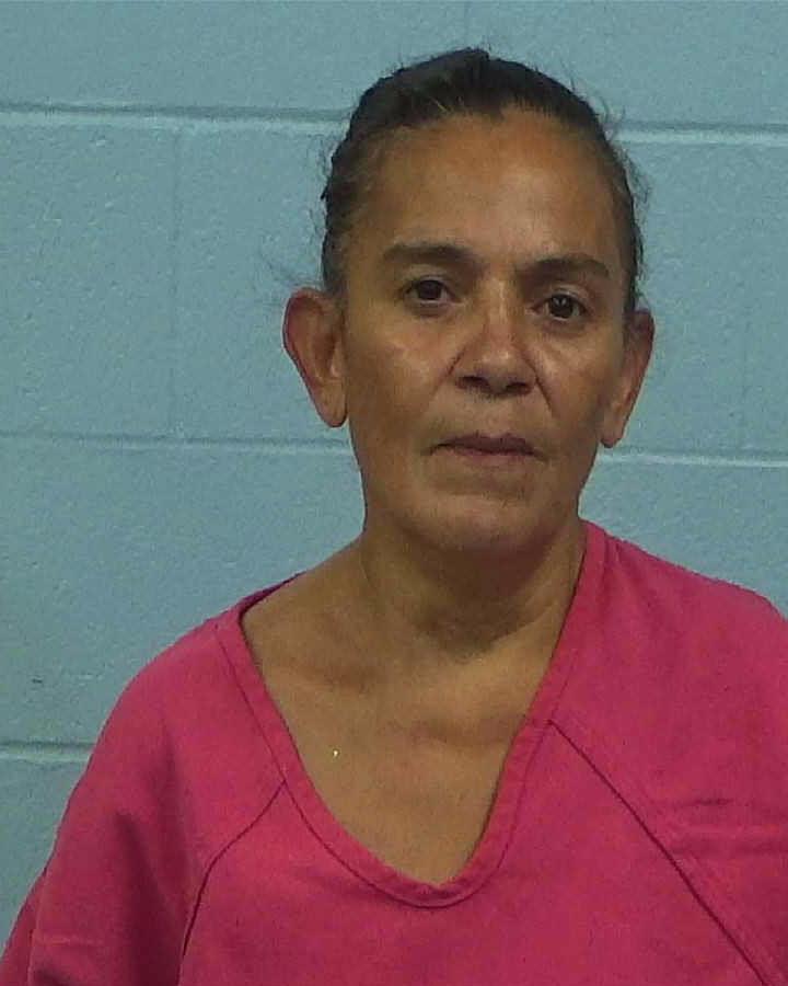 Avita, Eduviges Castillo booking photo