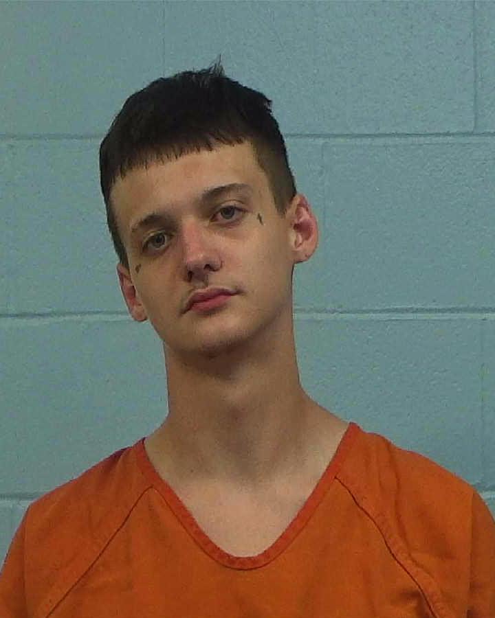 Hayes, Ethan Micah arrested by Williamson County PD/SO