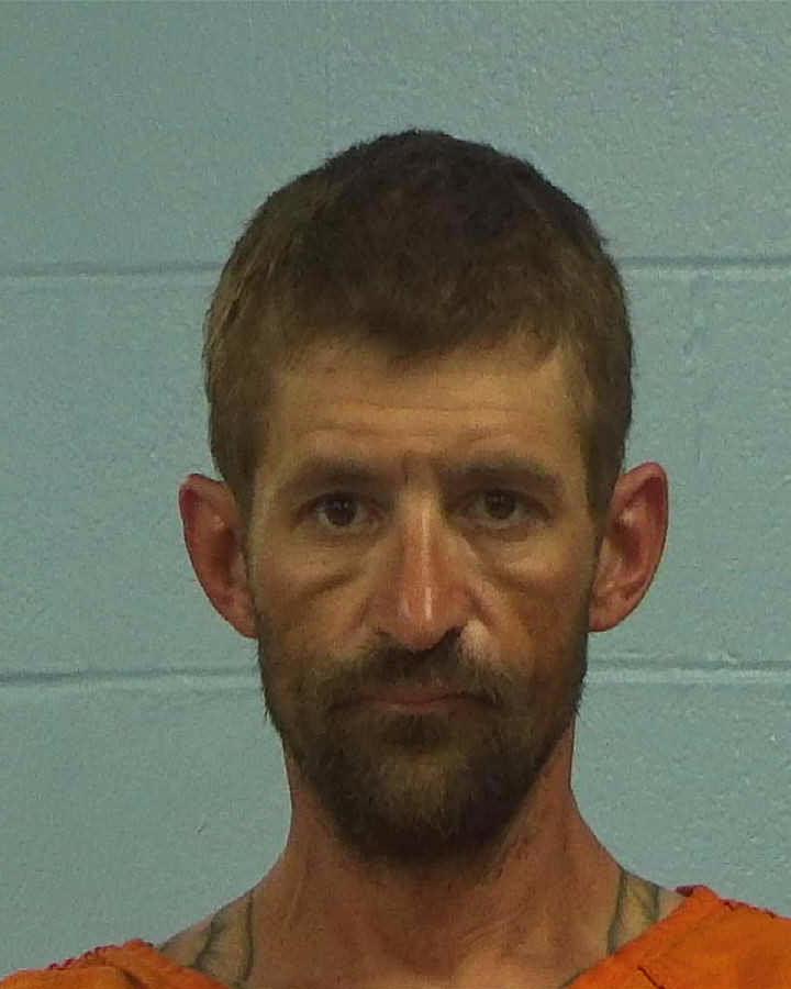 Johnson, Nathan Edward arrested by Williamson County PD/SO