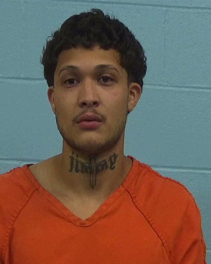 Alvarado, David Raymond arrested by Williamson County PD/SO