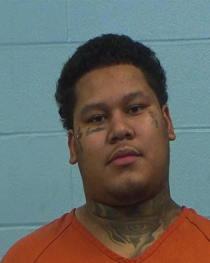 HILL, LOGAN ANTHONY arrested by Williamson County PD/SO