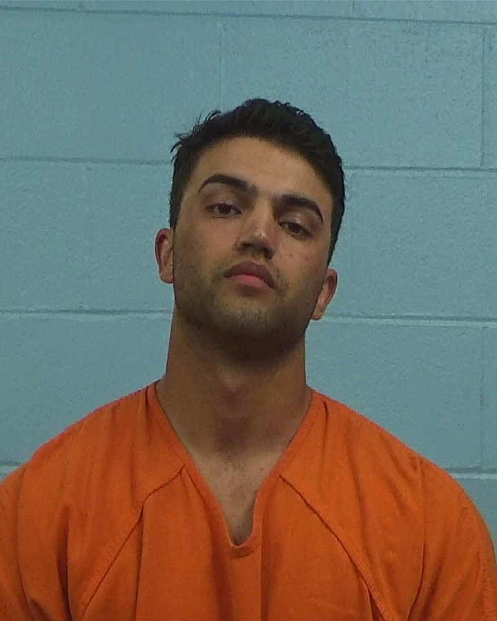 Graceffa, Dylan Francis arrested by Williamson County PD/SO