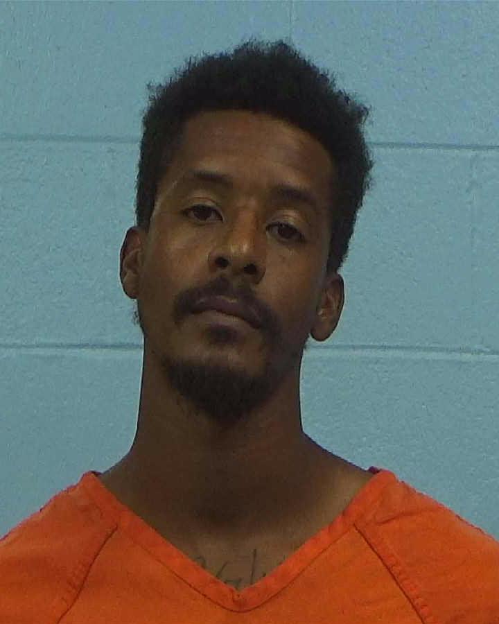 Hildenbrand, Bryan arrested by Williamson County PD/SO