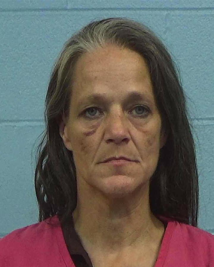 Horton, Christi Lea arrested by Williamson County PD/SO