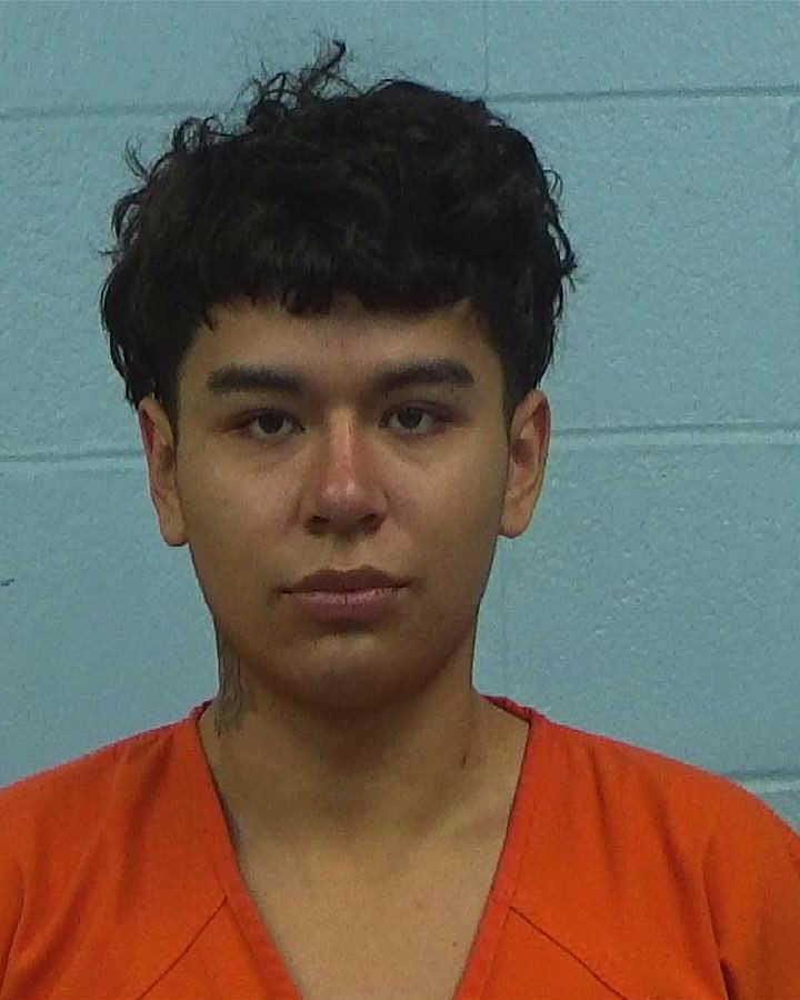 Venegas-Gutierrez, Ronald Anthony arrested by Williamson County PD/SO