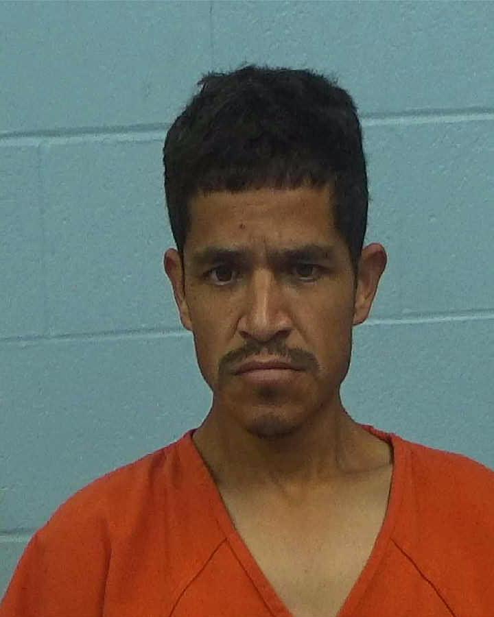 Alvarez-martinez, Jose arrested by Williamson County PD/SO