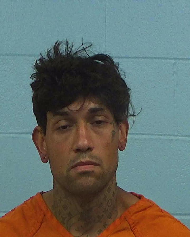 Hernandez, Robert Joseph arrested by Williamson County PD/SO