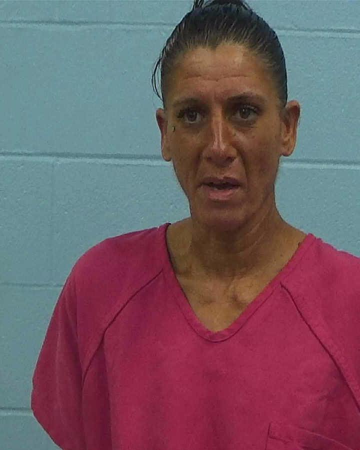 Gilbert, Stephanie Dianne arrested by Williamson County PD/SO