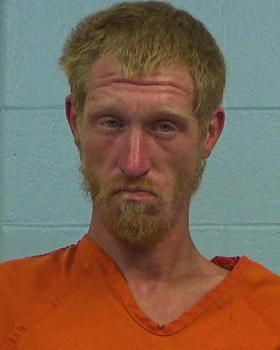 Gibson, Marshall Wayne arrested by Williamson County PD/SO