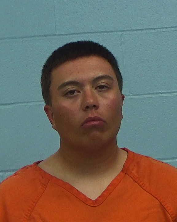 Hollowell, Christopher arrested by Williamson County PD/SO