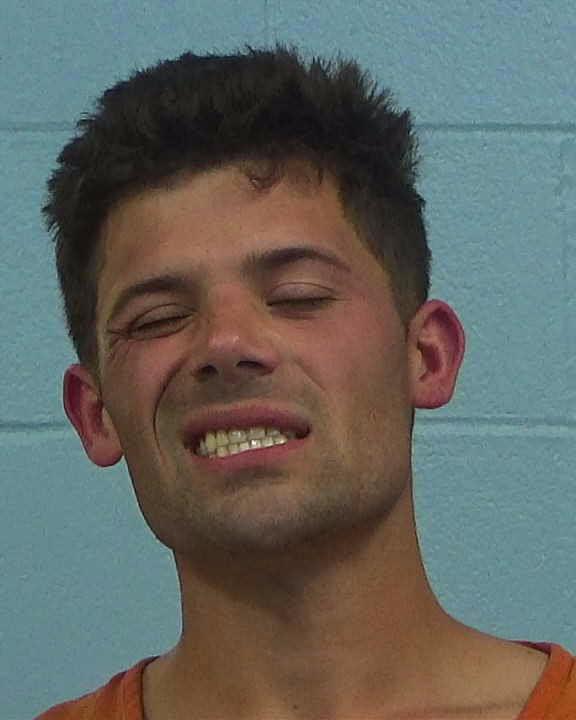 WILSON, JACOB DAVID arrested by Williamson County PD/SO