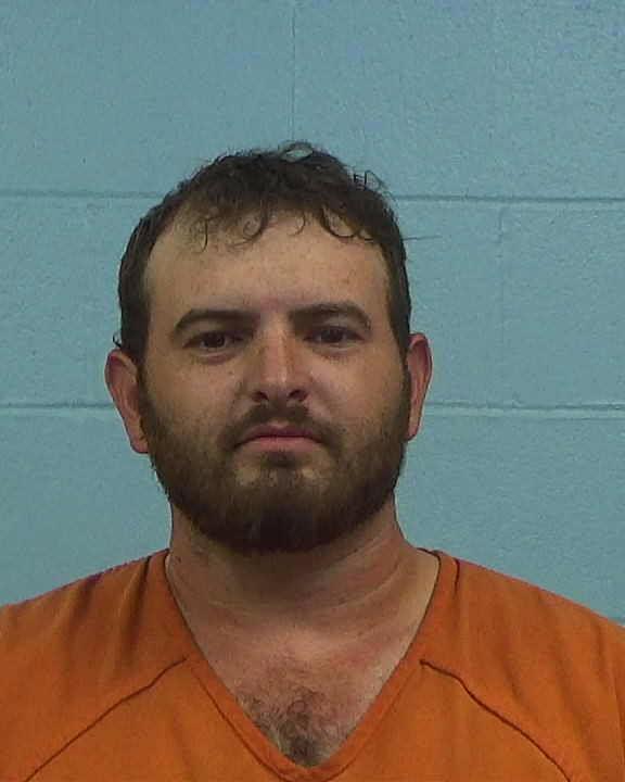 Wilson, Bradley Michael arrested by Williamson County PD/SO