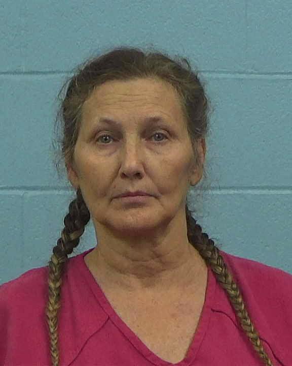 WENDY, DAVIS GAE booking photo