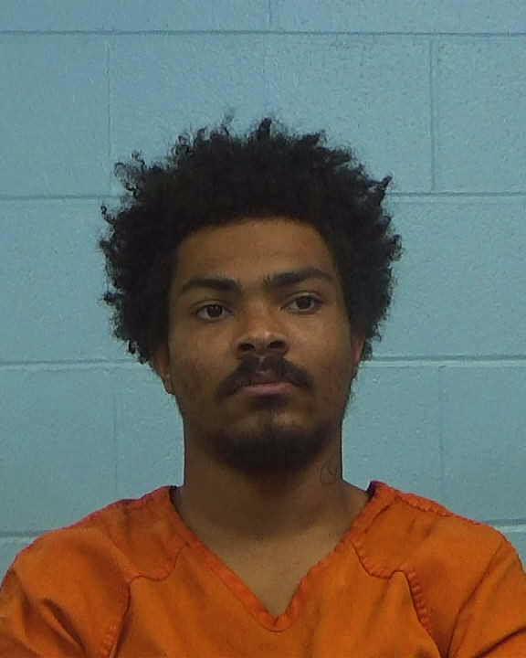 Hill, Cameron Jerimiah arrested by Williamson County PD/SO