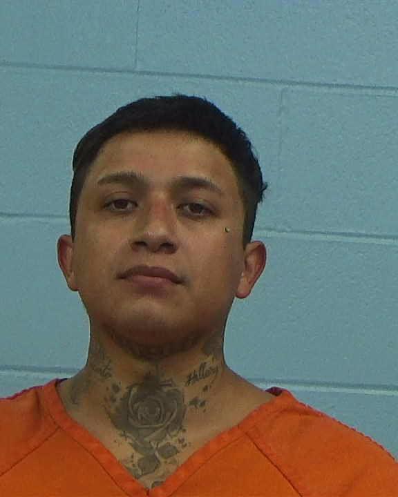 ranferi-gonzales, sadie arrested by Williamson County PD/SO