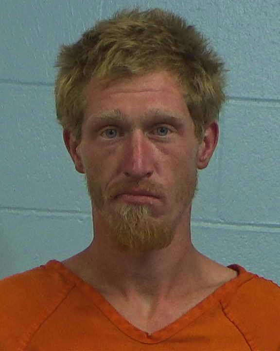 Gibson, Marshall Wayne arrested by Williamson County PD/SO