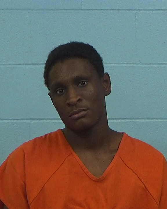 Johnson, Bryson James arrested by Williamson County PD/SO
