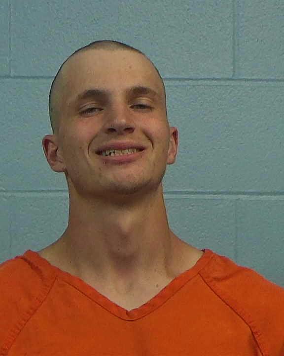 SMITH, JOEL David arrested by Williamson County PD/SO