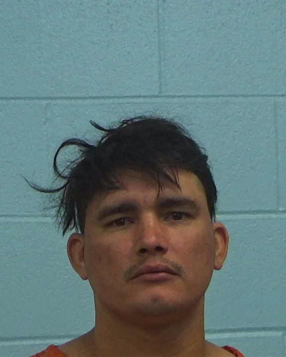 Diaz Gonzalez, Luis Enriquez booking photo