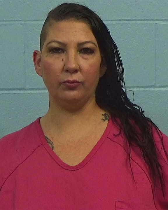 Rodino, Nicole Marie arrested by Williamson County PD/SO