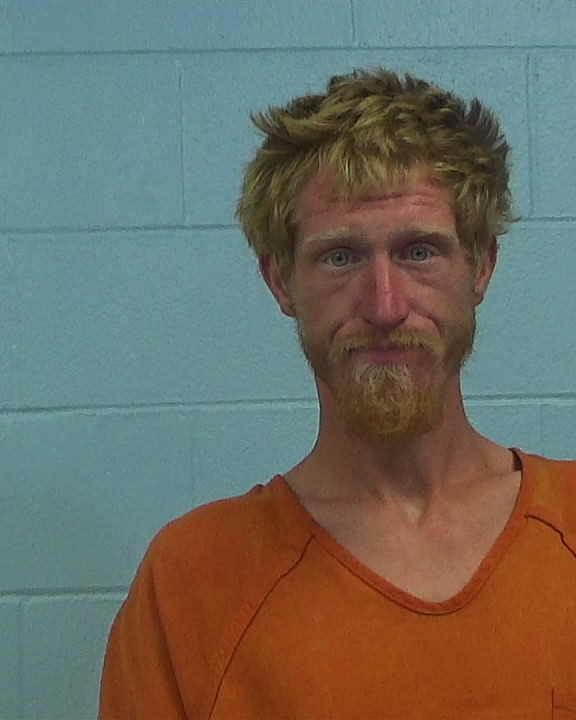 Gibson, Marshall Wayne arrested by Williamson County PD/SO