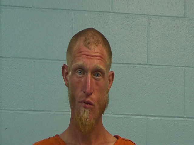 Gibson, Marshall Wayne arrested by Williamson County PD/SO