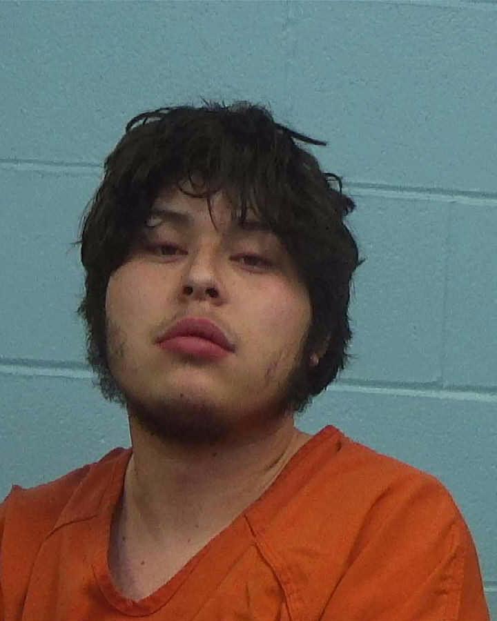 Holden, James Zachary arrested by Williamson County PD/SO