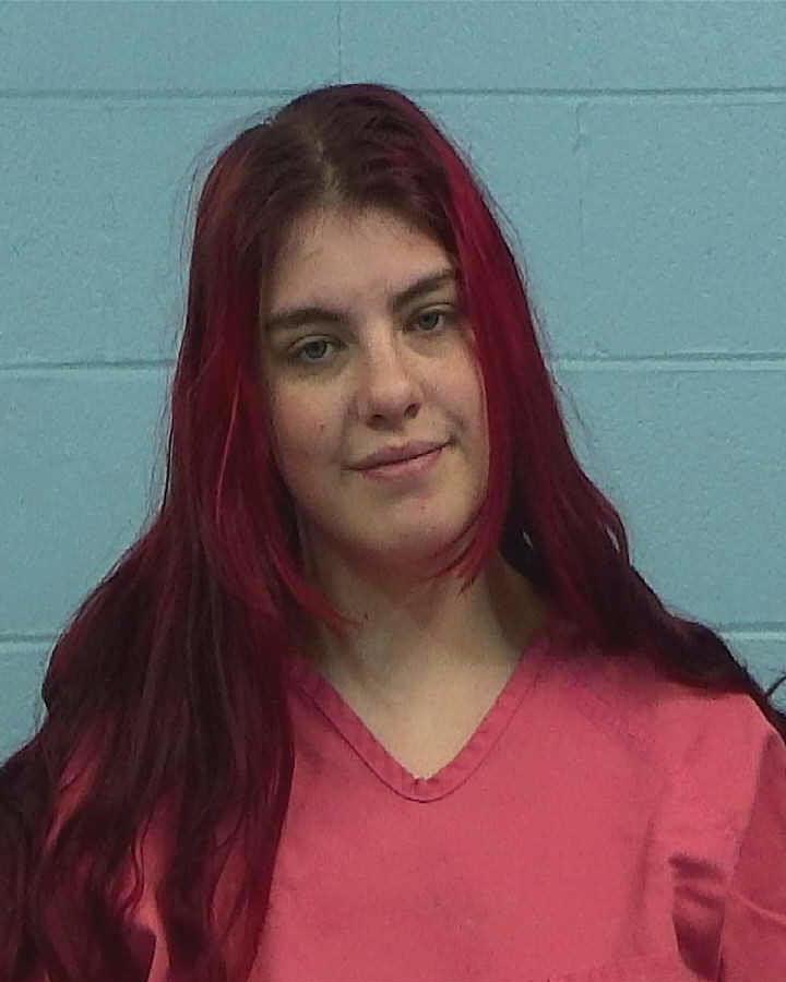 HAMMER, SARAH BETH booking photo