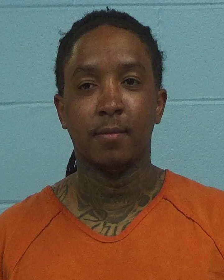 Hollis, Matthew Christopher arrested by Williamson County PD/SO