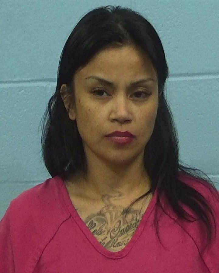 Castro, Nicole booking photo