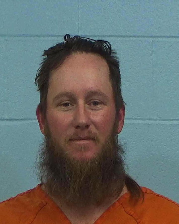 Carlton, David Lee arrested by Williamson County PD/SO