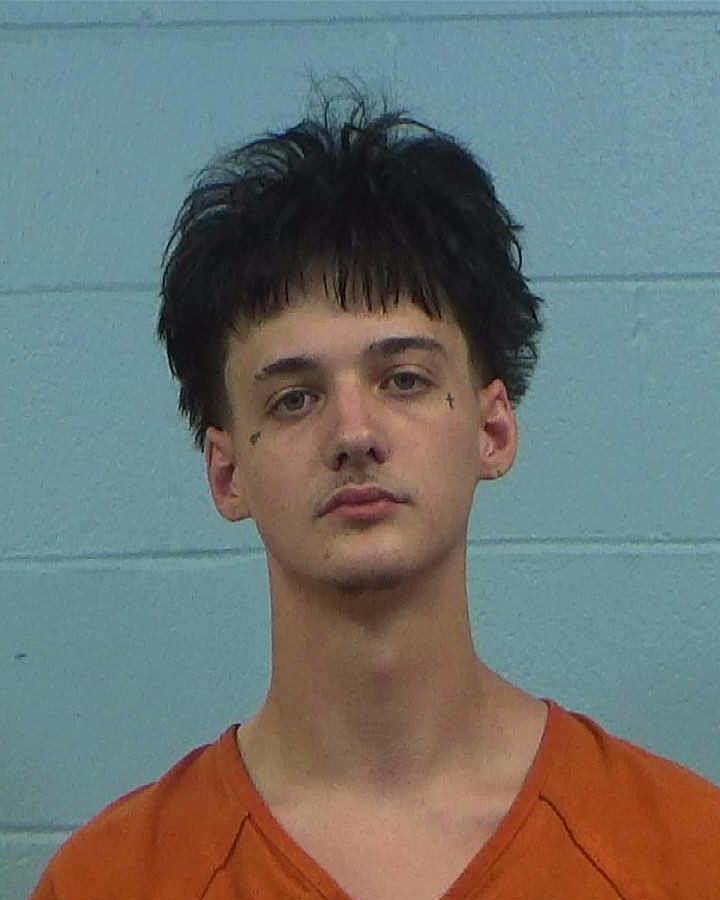 Hayes, Ethan Micah arrested by Williamson County PD/SO