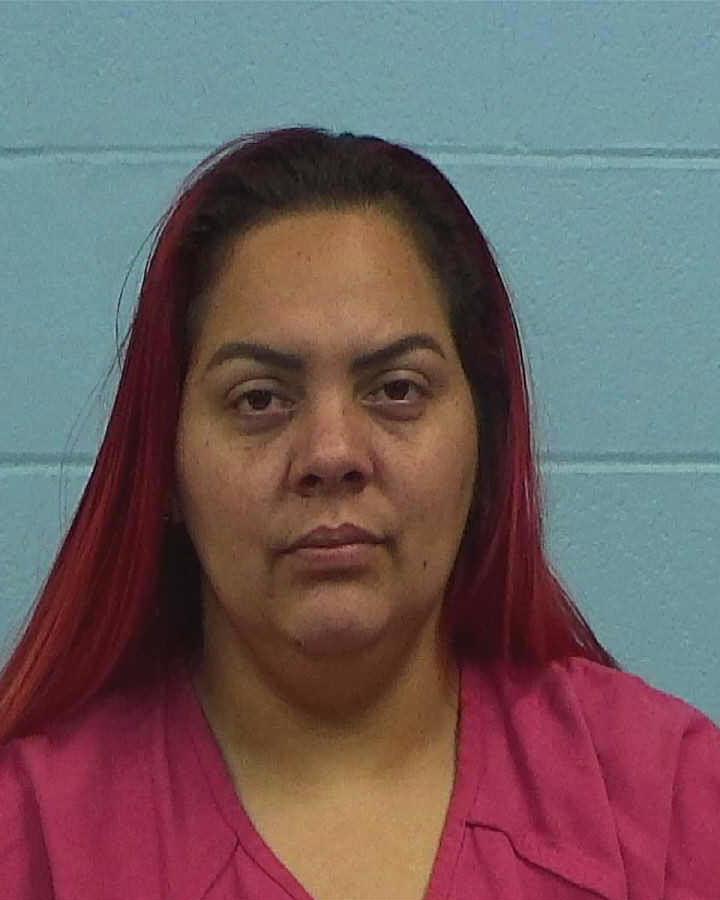 Vilaro-Pina, Niuska Carolina booking photo