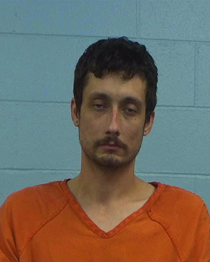 Johnson, Aaron Dean arrested by Williamson County PD/SO