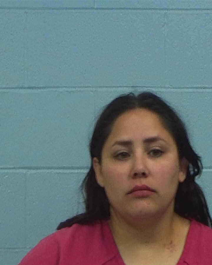 Torres, Carolina booking photo