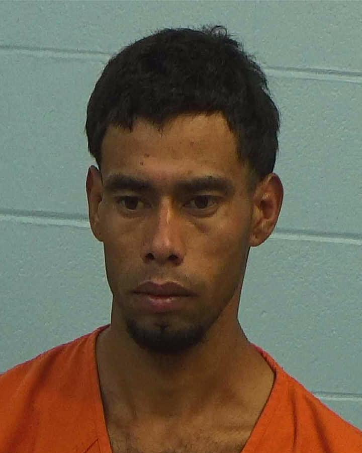 Galiano Castro, Elmer booking photo