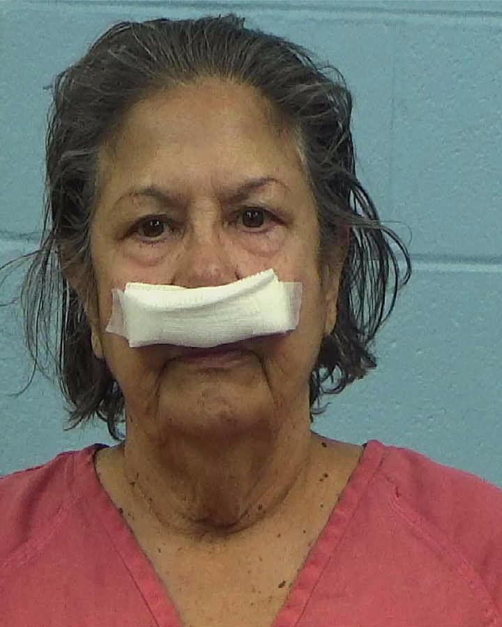 Gonzalez, Helena booking photo