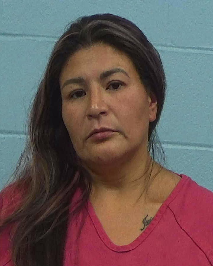 Honstein, Teresa Marie booking photo