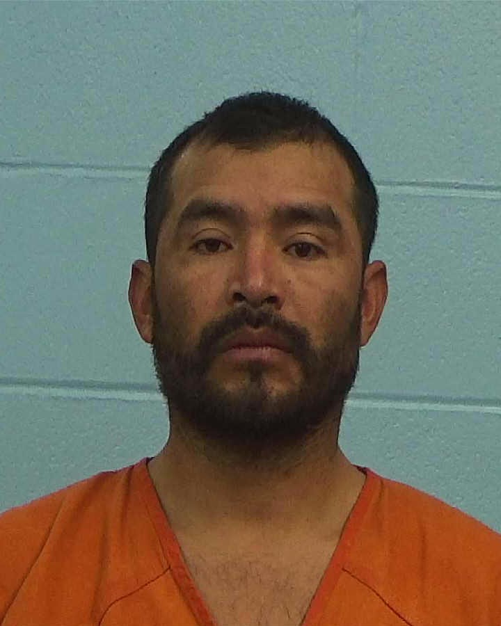 Nava Jimenez, Remijio booking photo