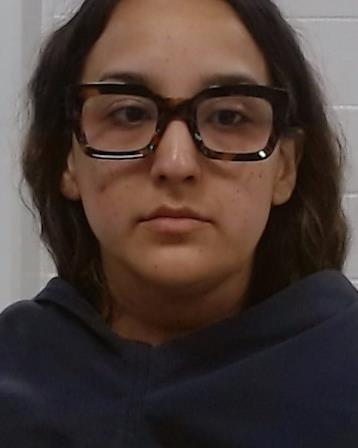 Alvarez, Karen Geselle arrested by Collin County SO