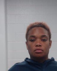 Robinson, Ashley Andrea arrested by Collin County SO