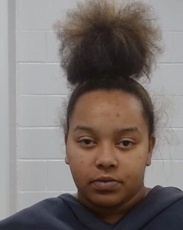 Williamson, Diane Monique arrested by Collin County SO