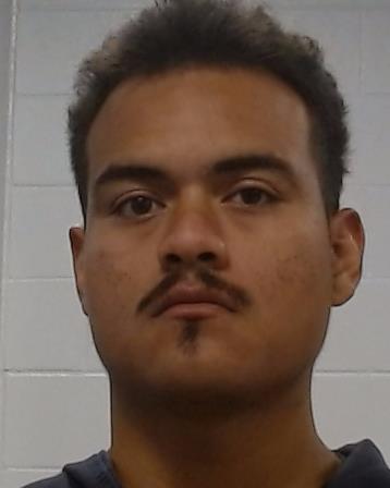 Hernandez, Tello Manuel arrested by Collin County SO