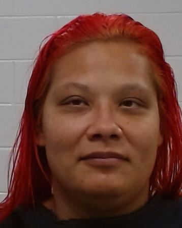 Lira, Barbara Lei arrested by Collin County SO