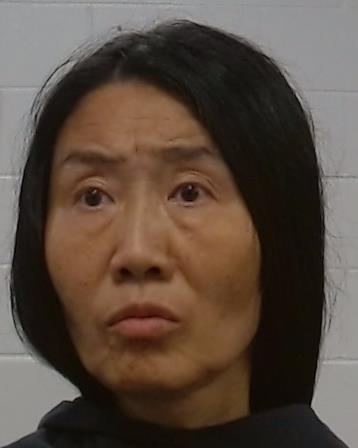 Liu, Yiwen arrested by Collin County SO
