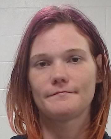 Carey, Eleanor Renee arrested by Collin County SO