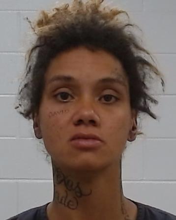 Edes, Molly Elisha arrested by Collin County SO