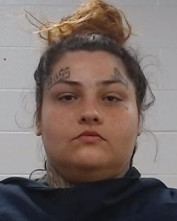 Gonzales, Shannon Nicole arrested by Collin County SO