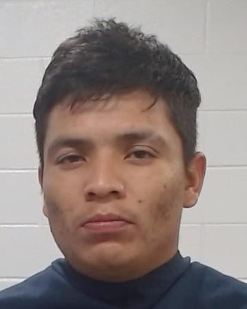 Guerrero Ortega, Diego Ricardo arrested by Collin County SO