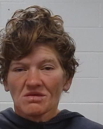 Woodard, Elizabeth Ann arrested by Collin County SO